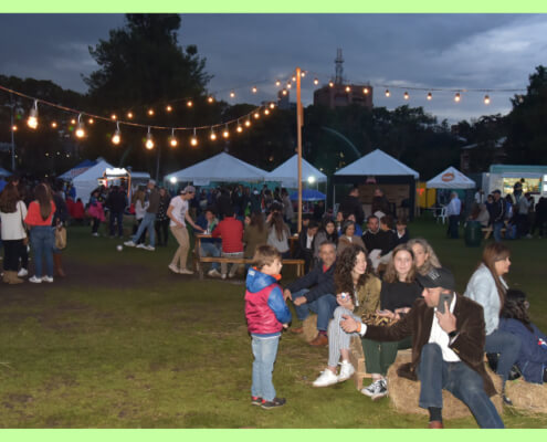 Gran Festival Gimnasiano