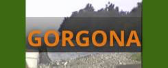 GORGONA